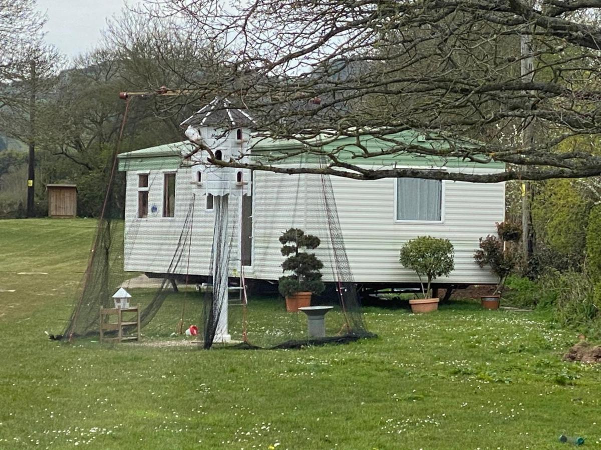 The Nest - Family Friendly Caravan Nr Glastonbury & Street Somerton  Eksteriør billede